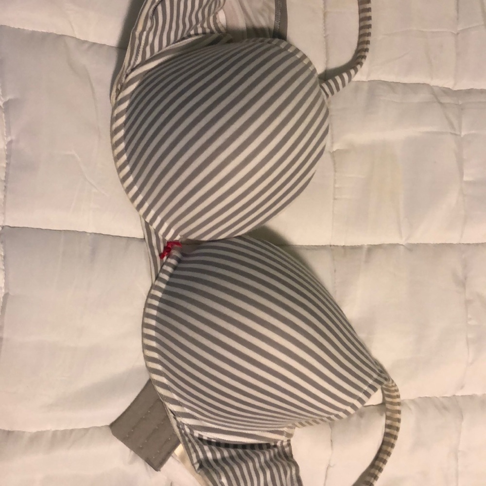 Lane Bryant bra